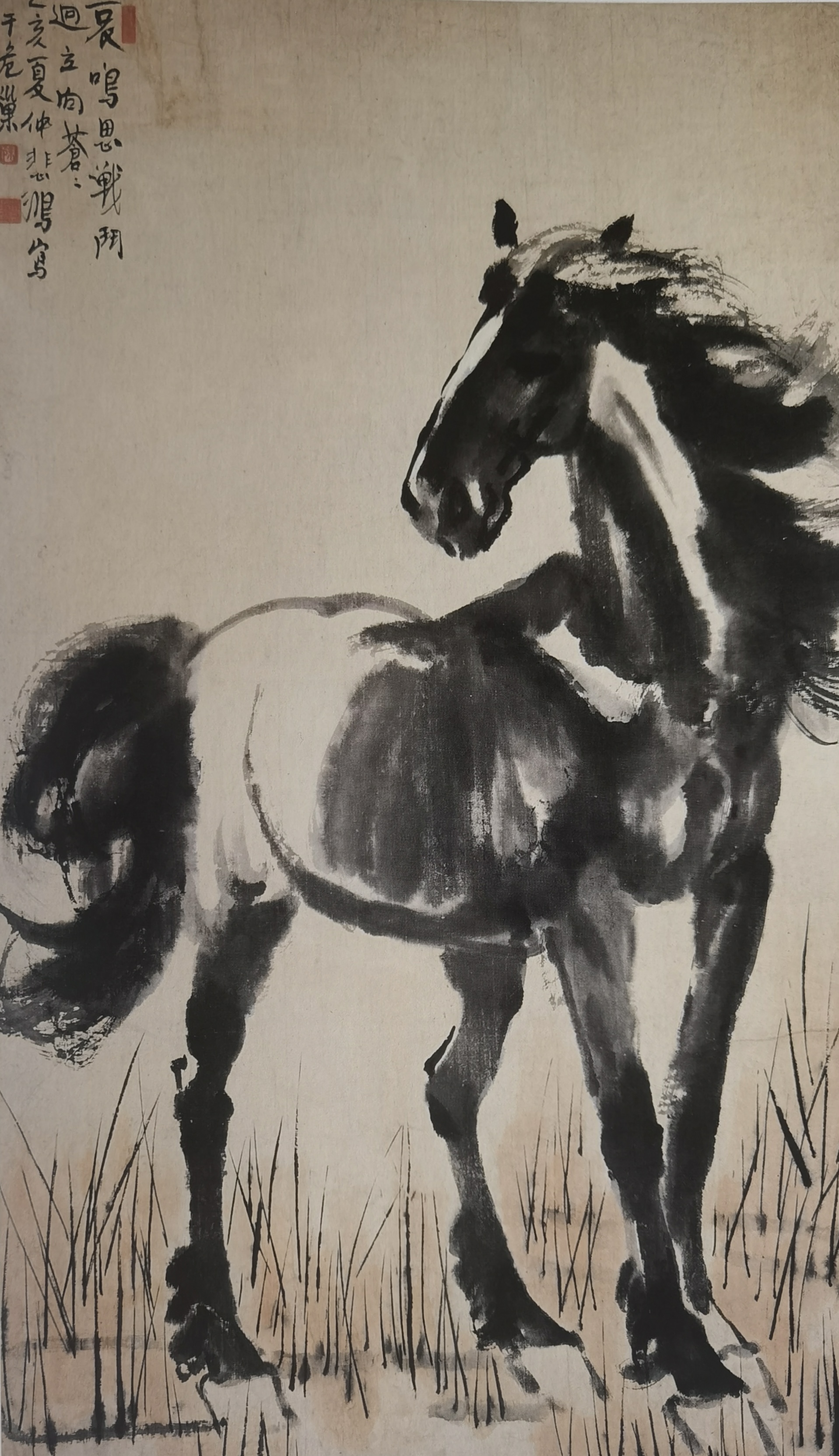 1692842043631940.jpg 1692842043631940.jpg