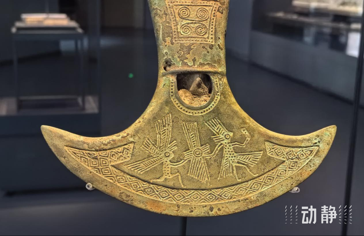 1708655501436946.jpg 8.jpg