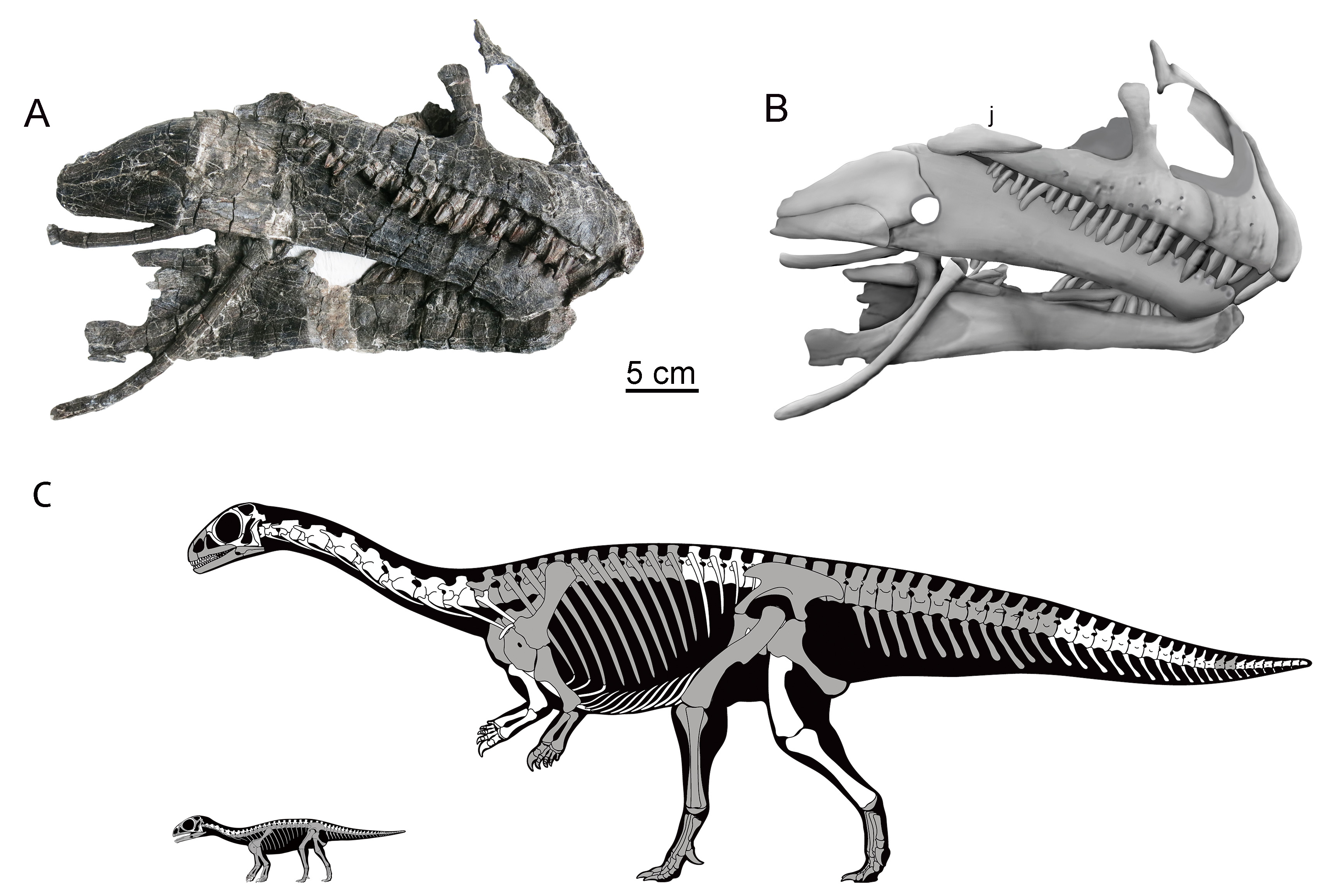 1715760296640263.jpg 1715760296640263.jpg