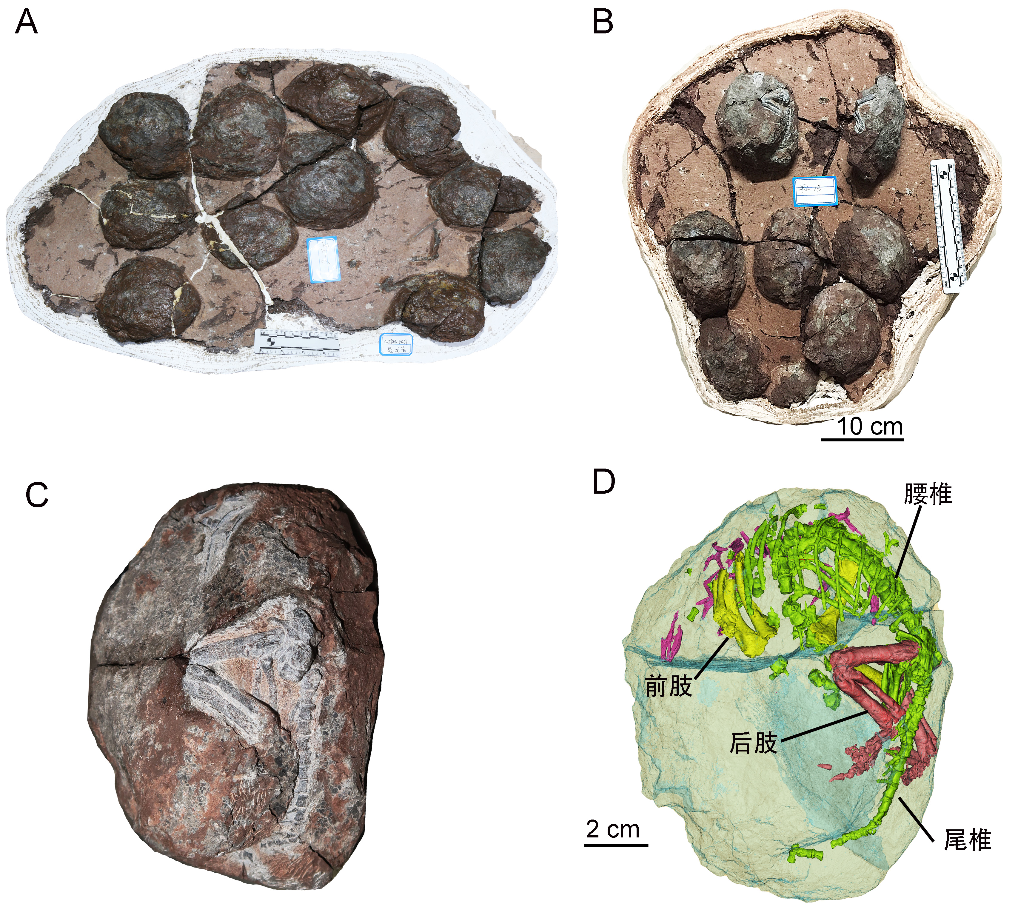 1715760378544449.jpg 1715760378544449.jpg