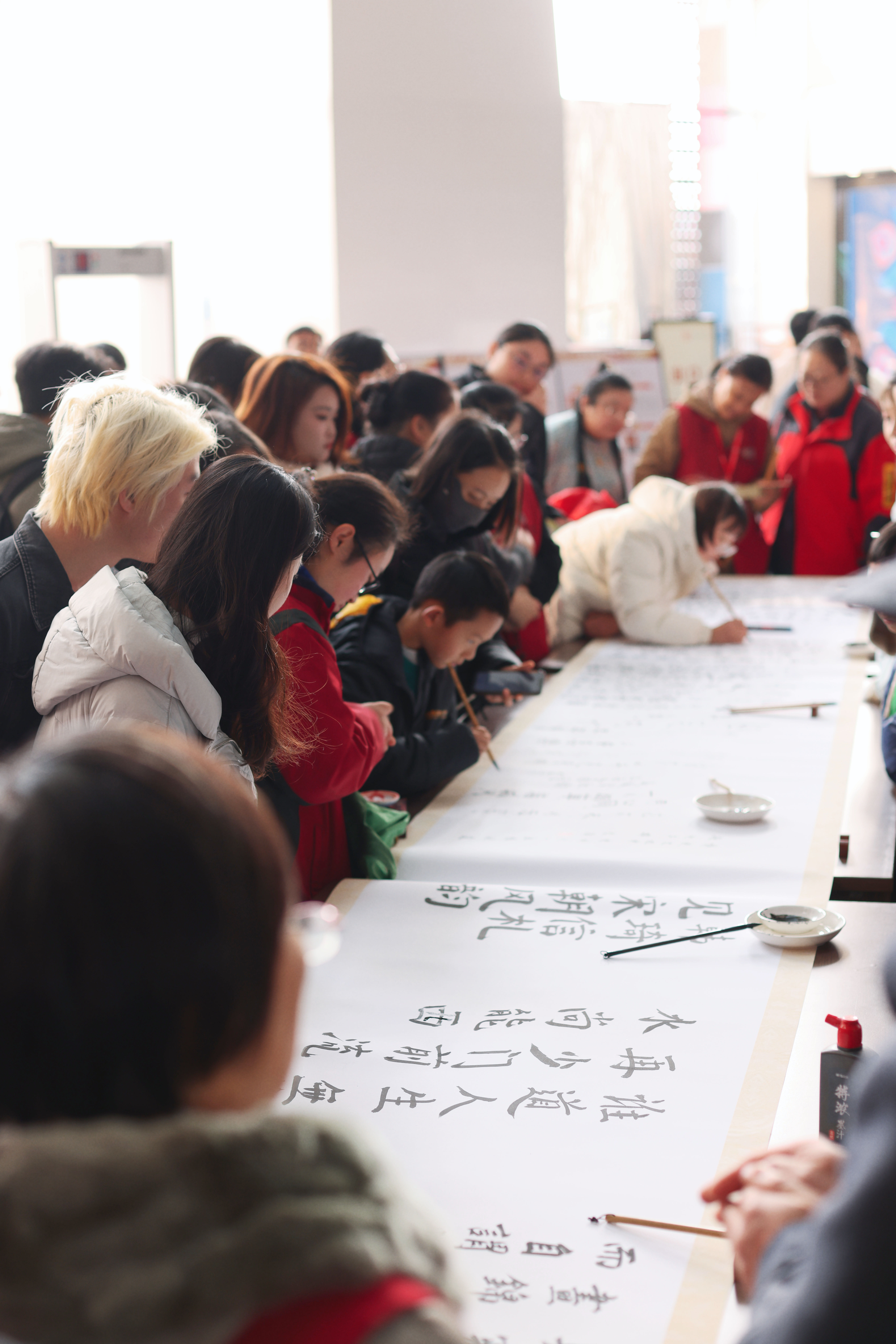 1734677661464677.jpg 1734677661464677.jpg